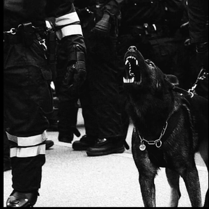 高跟91❌❌⭕⭕娇喘
